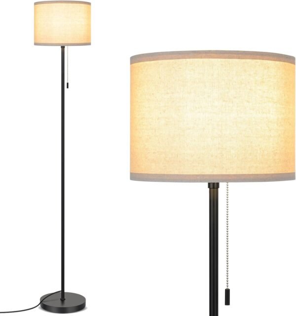 Floor Lamp for Living Room, LED Modern Simple Standing Lamps, Tall Lamp for Bedroom, Kid, Office, Reading Room Black Pole Light Without Bulb