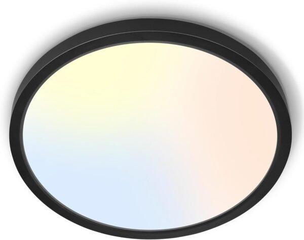 Flush Mount LED Ceiling Light, 12 Inch 20W Dimmable 5 Selectable 2700K-6000K Daylight White, 2000LM, 200W Equiv. Round Panel Lights, Black