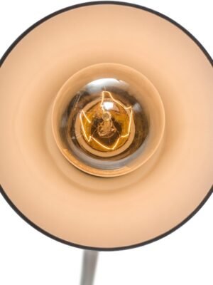 61Rn3M7-LCL._AC_SL1200_.jpg