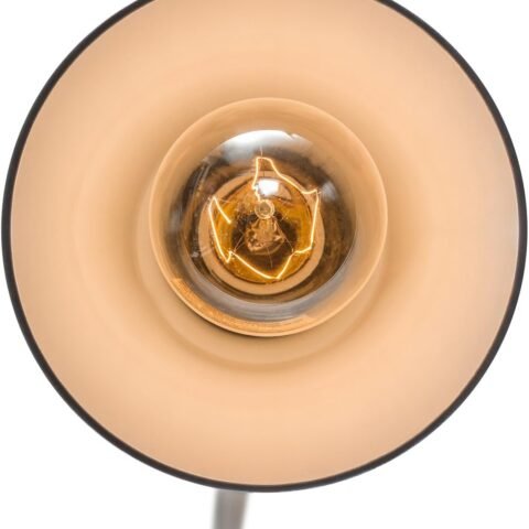 61Rn3M7-LCL._AC_SL1200_.jpg