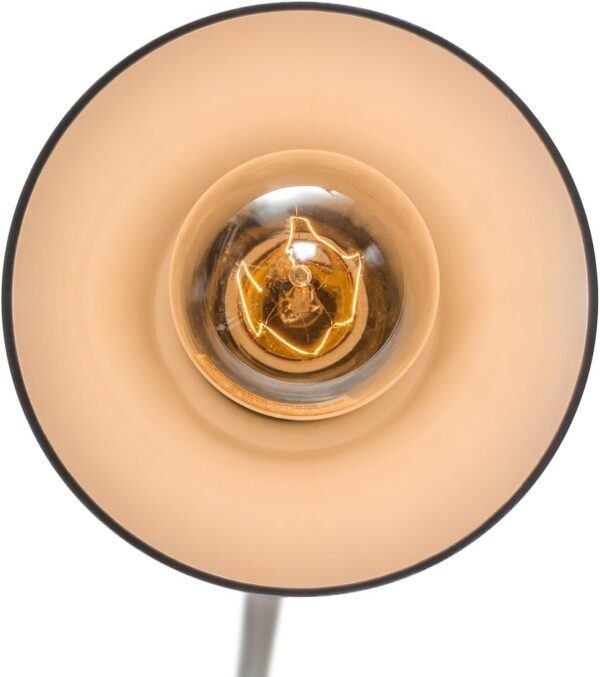 Gooseneck Sconce, Matte Black, Bulb Not Included