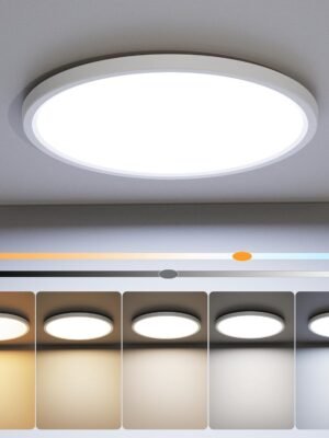 12 inch Flush Mount LED Ceiling Light Fixture,Dimmable 3000K/3500K/4000K/5000K/6500K Adjustable Ceiling Lights,Ultra Thin White Round Lamp,24W Ceiling Light for Hallway Kitchen Bedroom,1pack