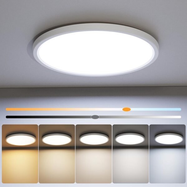12 inch Flush Mount LED Ceiling Light Fixture,Dimmable 3000K/3500K/4000K/5000K/6500K Adjustable Ceiling Lights,Ultra Thin White Round Lamp,24W Ceiling Light for Hallway Kitchen Bedroom,1pack