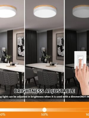 71D-DXPv2L._AC_SL1200_.jpg
