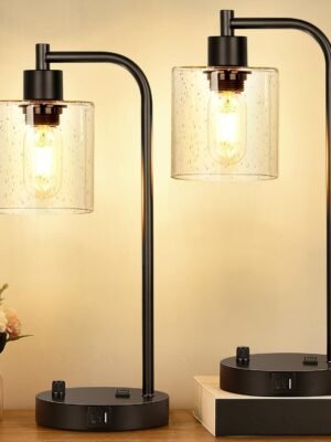 Set of 2 Industrial Table Lamps with 2 USB Port, Fully Stepless Dimmable Bedside Lamps for bedrooms, Nightstand Desk Lamps with Seeded Glass Shade for Reading Living Room Office 2 LED Bulb Included