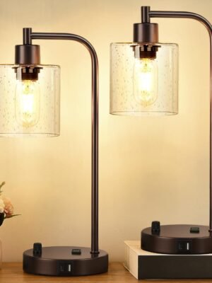 Set of 2 Oil Rubbed Bronze Table Lamps with 2 USB Port, Fully Stepless Dimmable Bedside Lamps for bedrooms, Industrial Nightstand Desk Lamps with Seeded Glass Shade for Living Room 2 LED Bulb Included